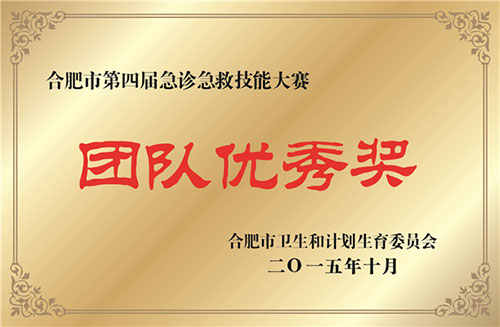 第四屆急診急救技能大賽 團體優(yōu)秀獎