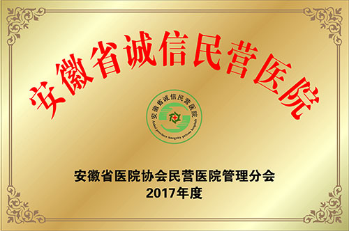 安徽省誠信民營醫(yī)院-2017年