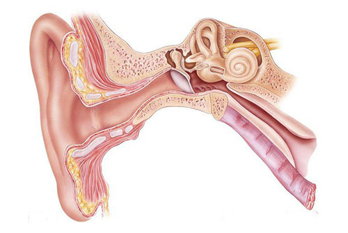一年一度愛耳日，今年關愛不一般