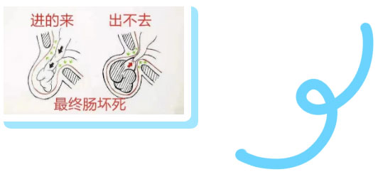 勿以“疝”小而不為:正確認(rèn)識(shí)腹股溝疝