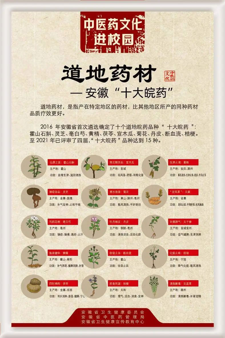 安徽中醫(yī)藥宣傳周｜這些養(yǎng)生小知識(shí)你知道嗎？